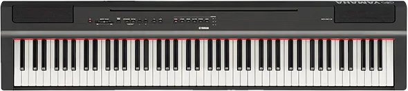 Чистка клавиатуры Yamaha P-125B